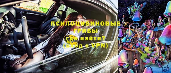 гидра Мурманск