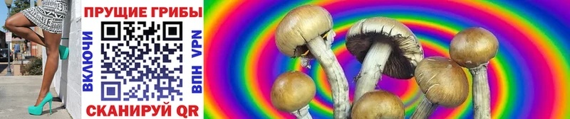 Псилоцибиновые грибы Magic Shrooms  Купить закладки  Краснозаводск 